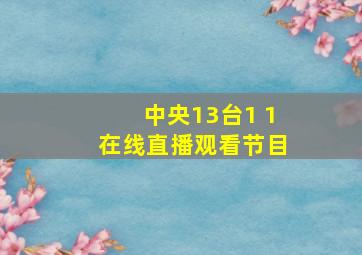 中央13台1 1在线直播观看节目